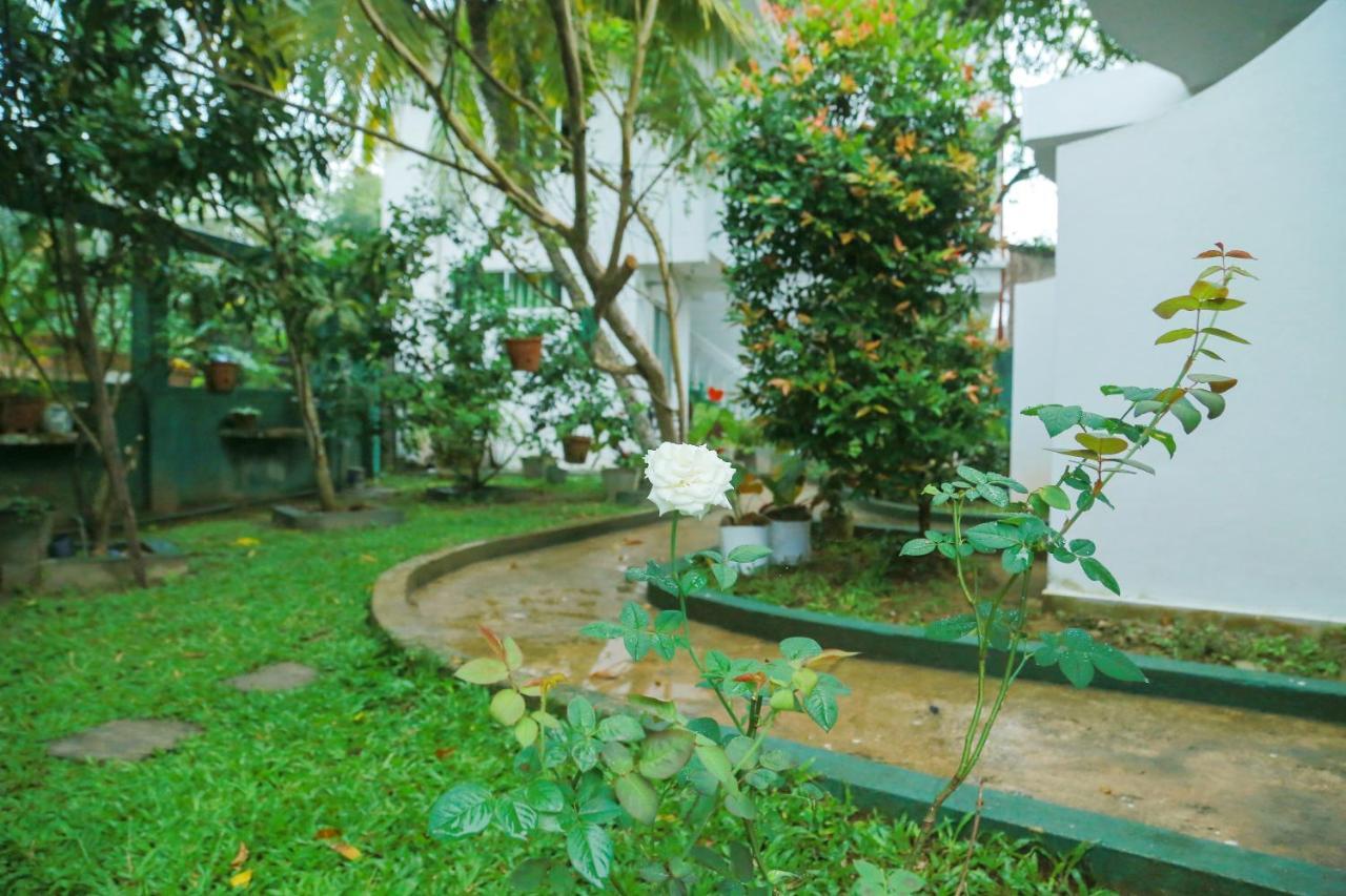 Suwa Arana Resort Mirissa Exterior photo